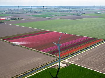 Holland from Above by Larissa Geuke