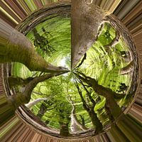 Bomen
