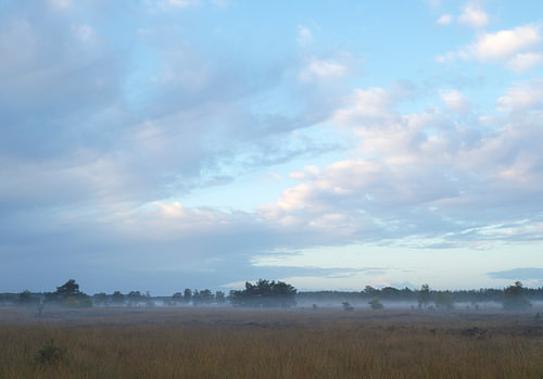 Sonnenaufgang im Holtingerveld – Drenthe (Niederlande)