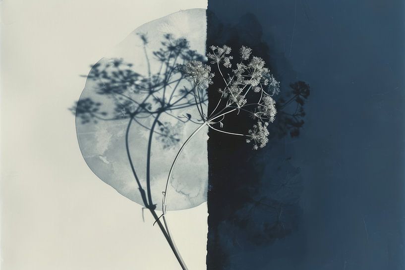 Botanical minimalism, wabi-sabi by Carla Van Iersel
