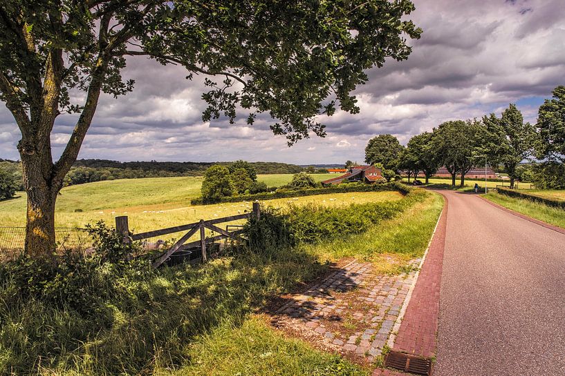Eperheide / Schweiberg by Rob Boon