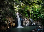 Wasserfall im Dschungel von Flores von Corrine Ponsen Miniaturansicht
