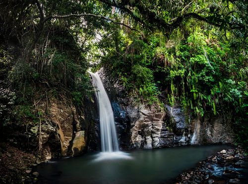 Waterfall in the jungle of Flores