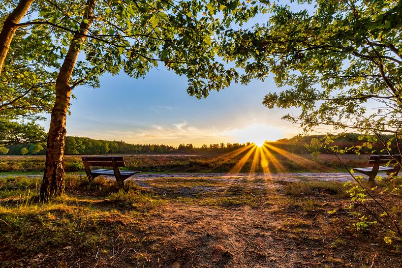 Outdoor Cinema by vd Maten Photography