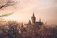 Kasteel Wernigerode zonsondergang en mist