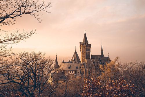 Schloss Wernigerode Sonnenuntergang und Nebel