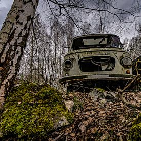 Barkas leave 3 by Johnny Flash