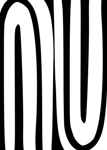 Regenboog Zwart Wit Monochroom Abstract