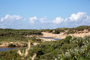 Doorkijkje in de duinen van Zuid-Holland van Erik van den Berg