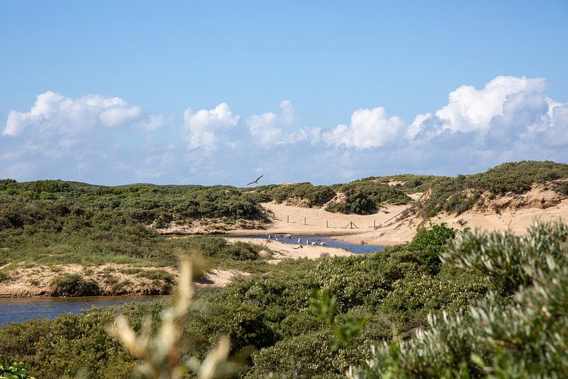 View through the dunes of South Holland by Erik van den Berg