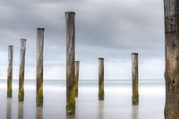 Palendorp Petten