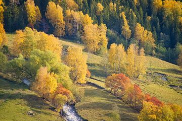 Kleurrijk herfstlandschap met loofbomen, heuvels en een beekje in de vallei