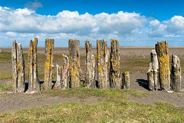 posts by Geertjan Plooijer