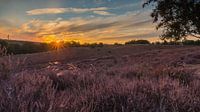 Sundown Posbank