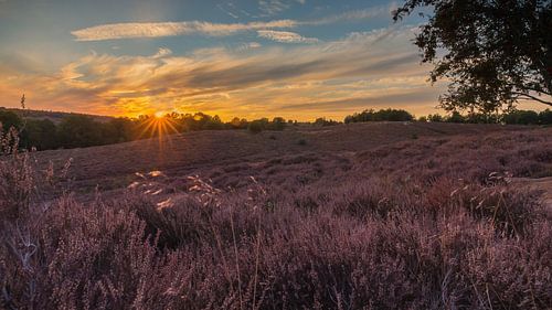 Sundown Posbank