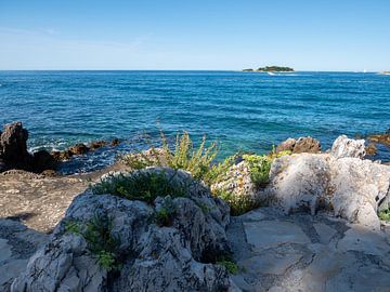 Sea and rocks in summer in Croatia on the Adriatic Sea by Animaflora PicsStock