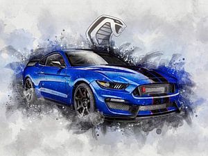 Ford Mustang Shelby GT van Pictura Designs