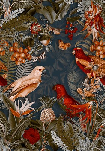 Parrots Midnight Paradise by Andrea Haase