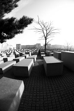 Holocaustmonument Berlijn van Amelie Soenens