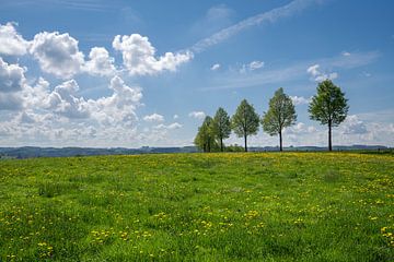 Bergisches Panoramasteig, Bergisches Land, Duitsland van Alexander Ludwig