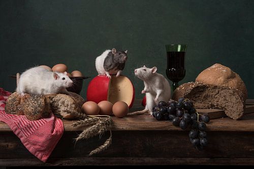 Beratung zum Mittagessen