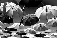 Up and away (black-and-white))