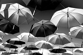 Up and away (black-and-white)) von Orangefield-images