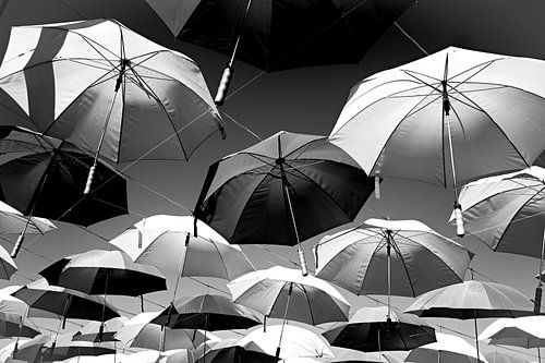 Op en weg (zwart-wit))