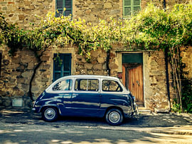 FIAT 600 Multipla  in the wild by Juvani Photo