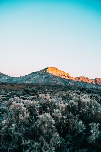 El Teide Nationaal Park