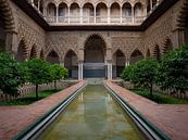 Real Alcázar in Seville | Travel Photography Spain by Teun Janssen thumbnail