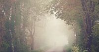 Lonely figure in the fog