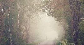 Lonely figure in the fog by Wieland Teixeira