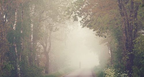 Eenzame figuur in de mist