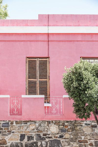 Pink Facade Serenity by Shot by Clint
