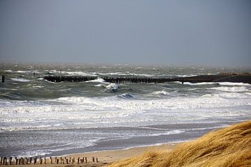 Storm aan zee van Wendy Hilberath