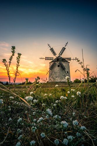 Stenen molen in de zonsondergang Tez Unagrn met bloemen