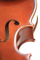 violin 4 / detail of left side standing