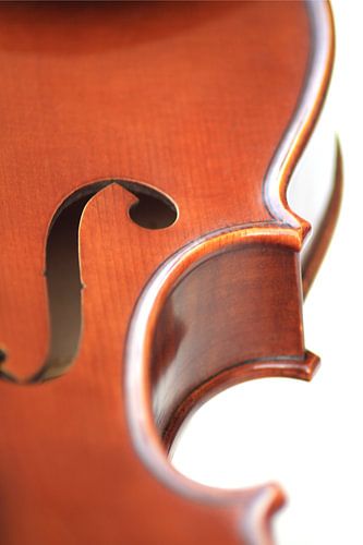 Violine 4 / Detail der linken Seite stehend