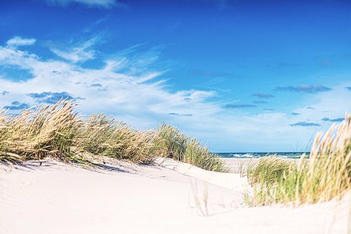 Danish coast near Skagen