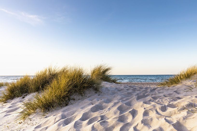 Zandduin aan zee van Werner Reins