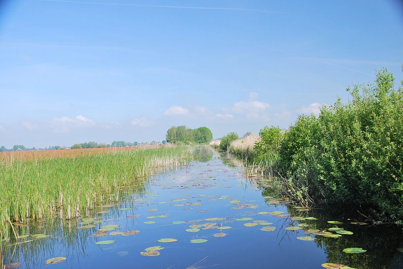 kanaaltje in de wieden by Marten Wieringa