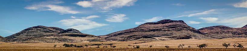 Panorama van Damaraland in Namibië van Rietje Bulthuis