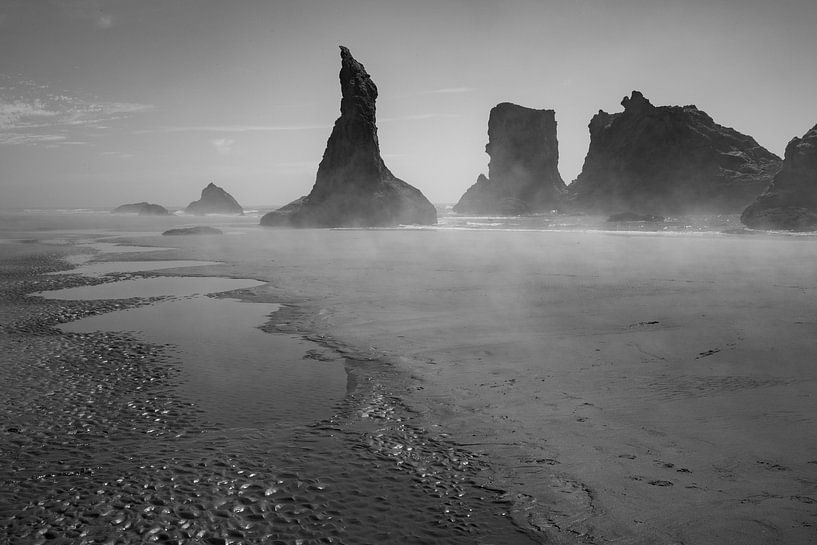Brandon Beach Oregon by Charlotte Bakker