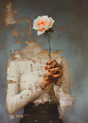 Apologies lost in the time