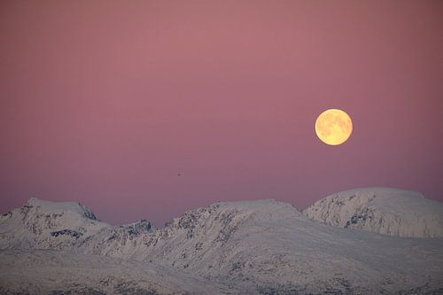 Vollmond über schneebedeckten Bergen mit rosa Himmel
