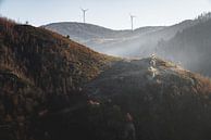 Nature by Meike Huibers thumbnail