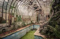 Orangery with swimming pool