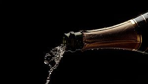 Champagne bottle portrait panorama