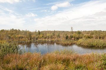 Internationaler Naturpark Bourtanger Moor-Bargerveen by Richard Wareham